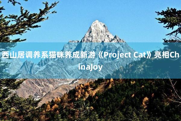 西山居调养系猫咪养成新游《Project Cat》亮相ChinaJoy