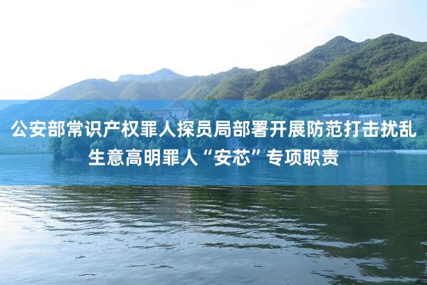 公安部常识产权罪人探员局部署开展防范打击扰乱生意高明罪人“安芯”专项职责