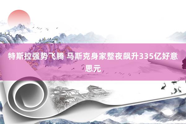 特斯拉强势飞腾 马斯克身家整夜飙升335亿好意思元