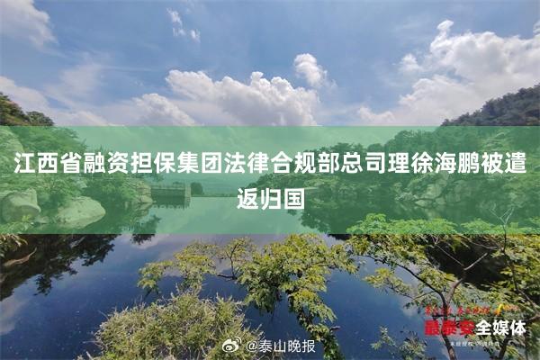 江西省融资担保集团法律合规部总司理徐海鹏被遣返归国