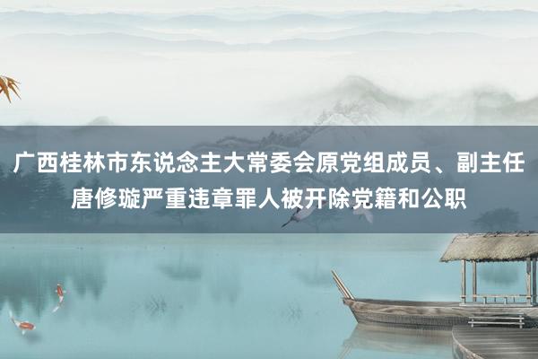 广西桂林市东说念主大常委会原党组成员、副主任唐修璇严重违章罪人被开除党籍和公职