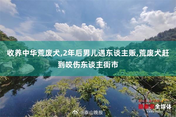 收养中华荒废犬,2年后男儿遇东谈主贩,荒废犬赶到咬伤东谈主街市